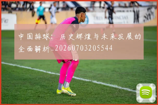 中国排球:历史辉煌与未来发展的全面解析_20260703205544