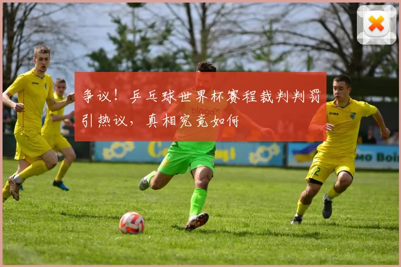 争议!乒乓球世界杯赛程裁判判罚引热议,真相究竟如何