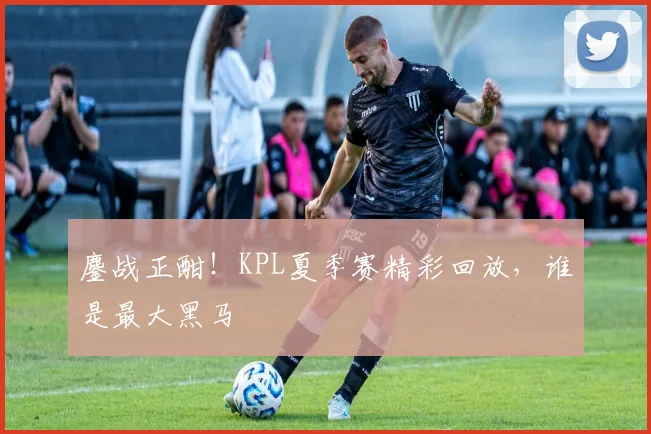 鏖战正酣！KPL夏季赛精彩回放，谁是最大黑马