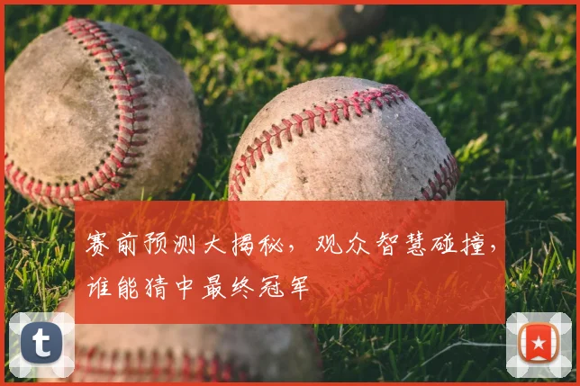 赛前预测大揭秘，观众智慧碰撞，谁能猜中最终冠军